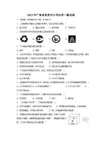 2023年广东省东莞市中考化学一模试卷（含解析）