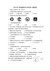 2023年广东省东莞市中考化学一模试卷（含解析）