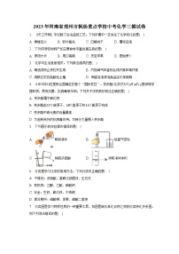 2023年河南省郑州市枫杨重点学校中考化学三模试卷（含解析）