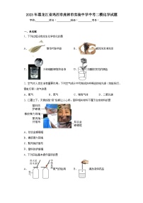 2023年黑龙江省鸡西市虎林市实验中学中考二模化学试题（含解析）