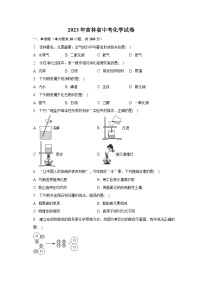 2023年吉林省中考化学试卷（含解析）