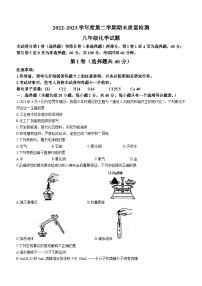 山东省泰安市东平县2022-2023学年八年级下学期期末化学试题（含答案）