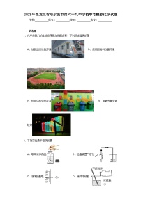 2023年黑龙江省哈尔滨市第六十九中学校中考模拟化学试题（含解析）