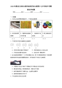 2023年黑龙江省哈尔滨市南岗区哈尔滨第十七中学校中考模拟化学试题（含解析）