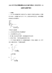 2023年中考化学模拟题知识点汇编专项练习（河北专用）-13金属和金属矿物③