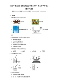 2023年黑龙江省佳木斯市抚远市第二中学、第三中学中考三模化学试题（含答案）