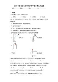 2023年湖南省长沙市长沙县中考二模化学试题（含答案）