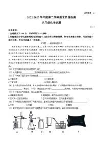 山东省潍坊市潍城区2022-2023学年八年级下学期期末化学试题（含答案）