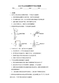 2023年山东省威海市中考化学真题（含答案）