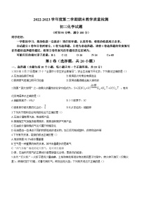 山东省烟台市蓬莱区2022-2023学年八年级下学期期末化学试题（含答案）