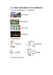 2023年黑龙江省哈尔滨重点中学中考化学模拟试卷（含解析）