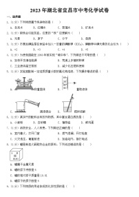 2023年湖北省宜昌市中考化学试卷【含答案】
