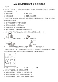 2023年山东省聊城市中考化学试卷【含答案】