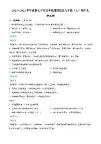 精品解析：四川省成都七中万达学校通锦校区2021-2022学年九年级上学期期中化学试题（解析版）