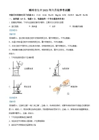 精品解析：2021年6月湖南省郴州市第九中学中考模拟化学试题（解析版）