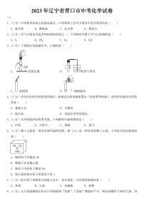 2023年辽宁省营口市中考化学试卷【附参考答案】