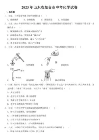 2023年山东省烟台市中考化学试卷【附参考答案】
