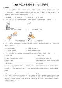 2023年四川省遂宁市中考化学试卷【附参考答案】