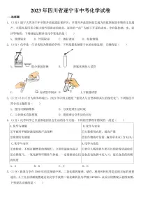 2023年四川省遂宁市中考化学试卷【附参考答案】
