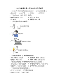 2023年黑龙江省七台河市中考化学试卷(含答案解析)