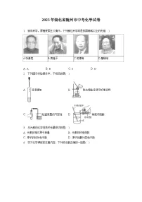 2023年湖北省随州市中考化学试卷(含答案解析)