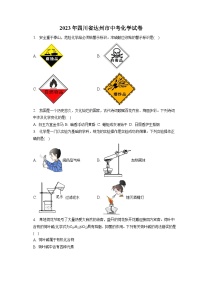 2023年四川省达州市中考化学试卷(含答案解析)