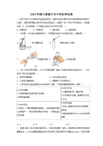 2023年四川省遂宁市中考化学试卷(含答案解析)