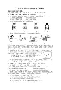 2023年湖南省衡阳市第十五中学中考5月模拟化学试卷