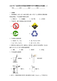 2023年广东省茂名市茂南区博雅中学中考模拟化学试题（二）（含解析）