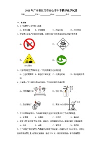 2023年广东省江门市台山市中考模拟化学试题(含解析)