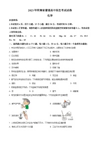 2023年河南省中考化学真题及答案解析