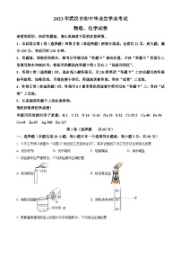 2023年湖北省武汉市中考化学真题及答案解析