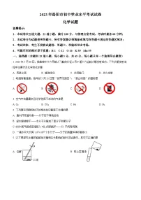 2023年湖南省岳阳市中考化学真题及答案解析