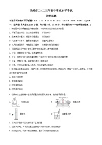 2023年山东省滨州市中考化学真题及答案解析