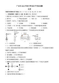 2023年四川省广安市中考化学真题及答案解析