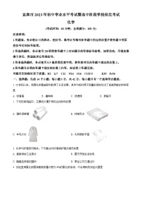 2023年四川省宜宾市中考化学真题及答案解析