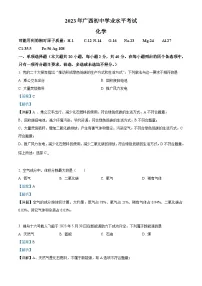 2023广西壮族自治区中考化学真题(含解析)