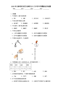 2023年天津市河东区天津市九十八中学中考模拟化学试题（含解析）