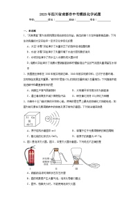 2023年四川省成都市中考模拟化学试题（含解析）