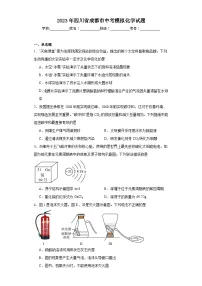 2023年四川省成都市中考模拟化学试题（含解析）