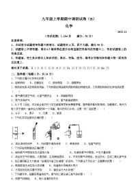 河南省安阳市林州市姚村镇第一初级中学2022-2023学年九年级上学期期中化学试题(无答案)