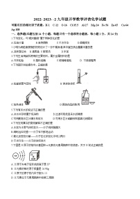 河南省郑州市中牟县郑州东枫外国语学校2022-2023学年九年级下学期2月期末化学试题(无答案)