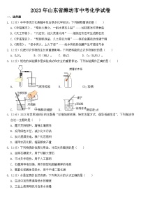 2023年山东省潍坊市中考化学试卷【含答案】