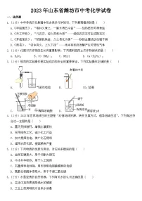 2023年山东省潍坊市中考化学试卷【含答案】