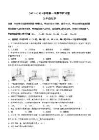 河南省平顶山市宝丰县2022-2023学年九年级上学期期末化学试题