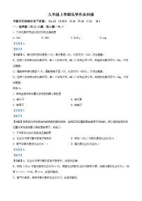 安徽省宿州市萧县城北初级中学2022-2023学年九年级上学期12月月考化学试题（解析版）