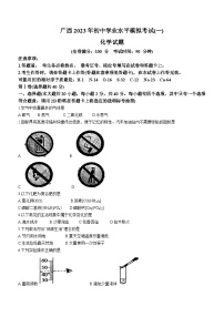 广西壮族自治区南宁市江南区南宁市第十中学2022-2023学年九年级下学期3月月考化学试题