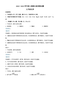 河南省驻马店市平舆县2022-2023学年九年级上学期期末化学试题（解析版）