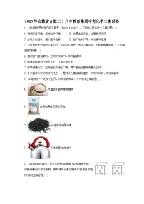 2023年安徽省合肥三十八中教育集团中考化学三模试卷-普通用卷