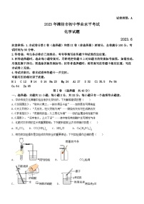 2023年山东省潍坊市中考化学真题(无答案)